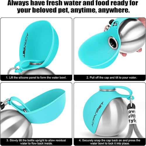 Lightweight Portable Dog Water Bottle - 10oz Stainless Steel Travel Dispenser with No-Spill Bowl for Hiking and Walking