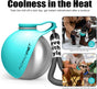 Lightweight Portable Dog Water Bottle - 10oz Stainless Steel Travel Dispenser with No-Spill Bowl for Hiking and Walking