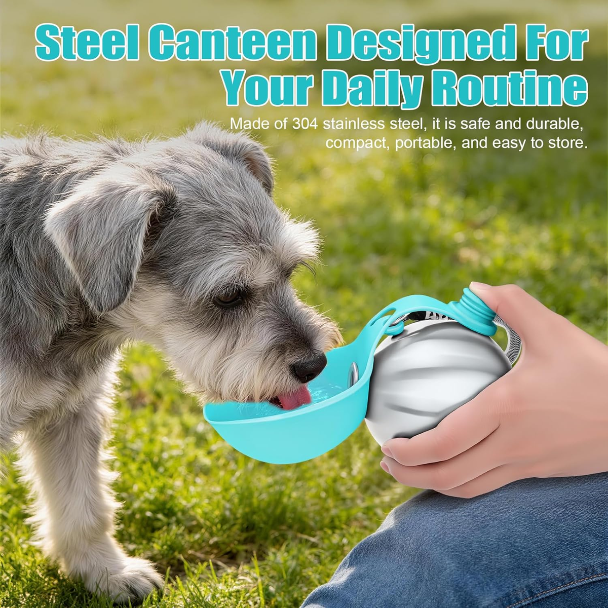 Lightweight Portable Dog Water Bottle - 10oz Stainless Steel Travel Dispenser with No-Spill Bowl for Hiking and Walking