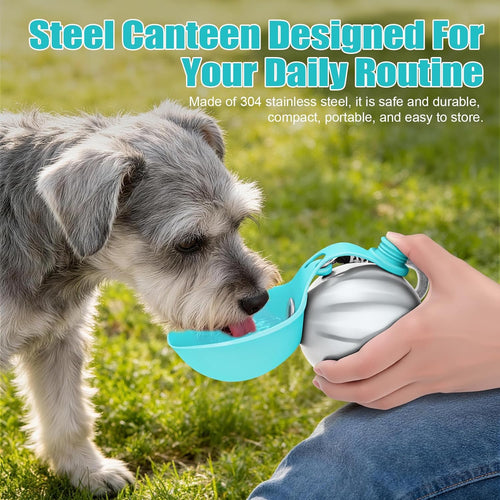 Lightweight Portable Dog Water Bottle - 10oz Stainless Steel Travel Dispenser with No-Spill Bowl for Hiking and Walking
